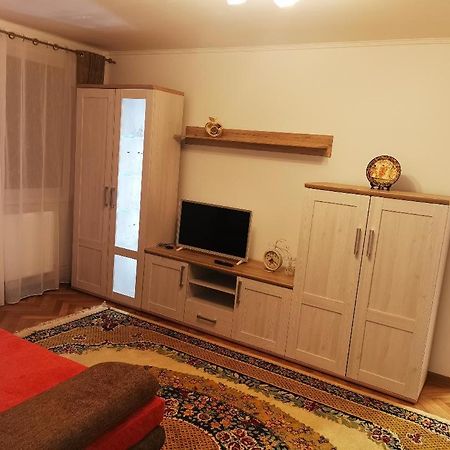 Bee Studio Apartment Iernut Bagian luar foto